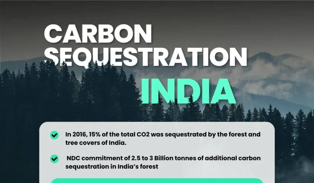 Carbon Sequestration in India during COP 27 and LT-LEDS