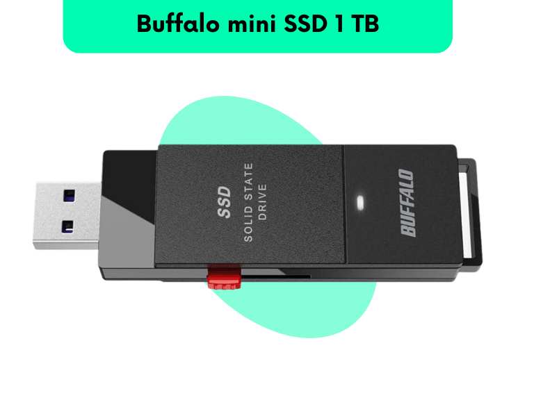 Image of buffalo mini ssd to install in tesla model 3 and model Y
